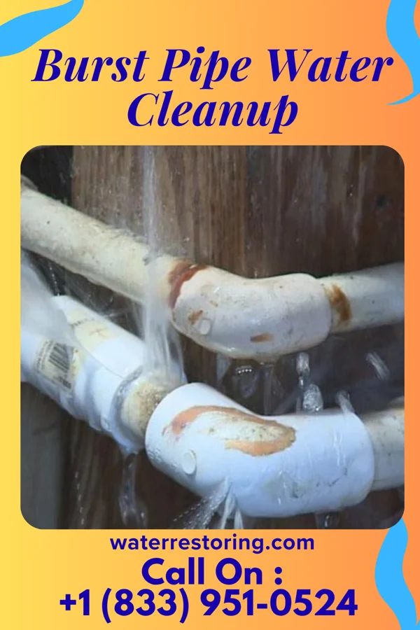 Burst Pipe Water Cleanup in Jennerstown, PA