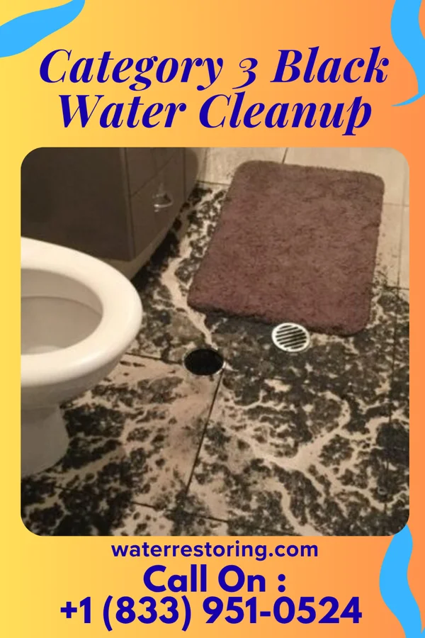Category 3 Black Water Cleanup in Jennerstown, PA